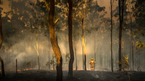 Australien Buschfeuer Feuerwehrmann